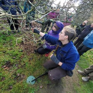 Winter Fruit Tree Pruning Workshop