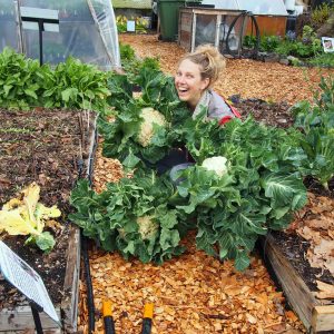 Planning Your Year-Round Veggie Garden